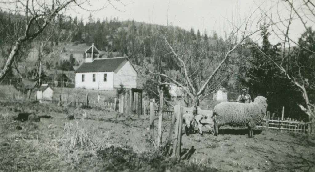 A black and white photograph from 1935 depicting the rural setting of Deer Park School. A large sheep with a thick fleece stands prominently in the foreground with a man riding it, both surrounded by a wooden fence. Behind them, the small, one-room schoolhouse is visible, distinguishable by its white siding and bell tower. The school is situated in a pastoral landscape with sparse trees, rough terrain, and a simple picket fence, indicative of the agricultural community it served during that era.